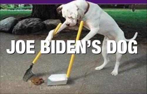 FB_IMG_1644584508031