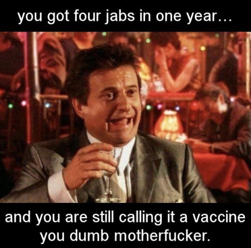 quadruple vaxxed14