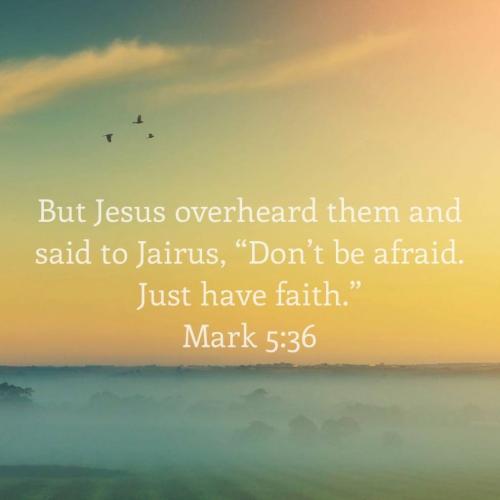 IMG_20220220_132005_362