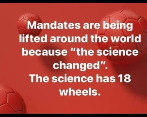 Screenshot_20220217-101658_Telegram