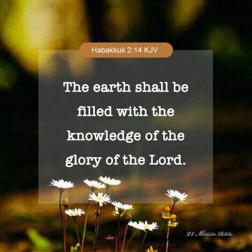 11:02:49 GMT-0500 (EST).*