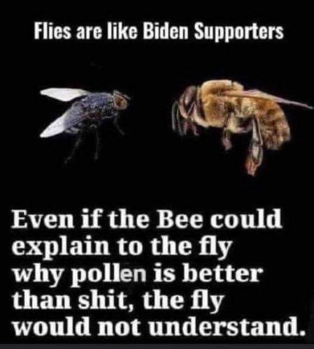 FB_IMG_1643732716854