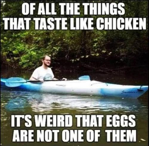 274294467_1007058903523522_2884169903756554739_n