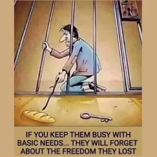 keep them busy with basic needs.. they will forget about the freedome they've lost