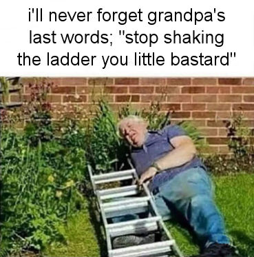 stop shaking the ladder you little bastard