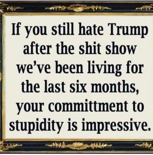 FB_IMG_1644995115263