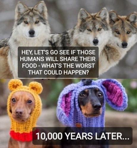 IMG_20220205_055637_343