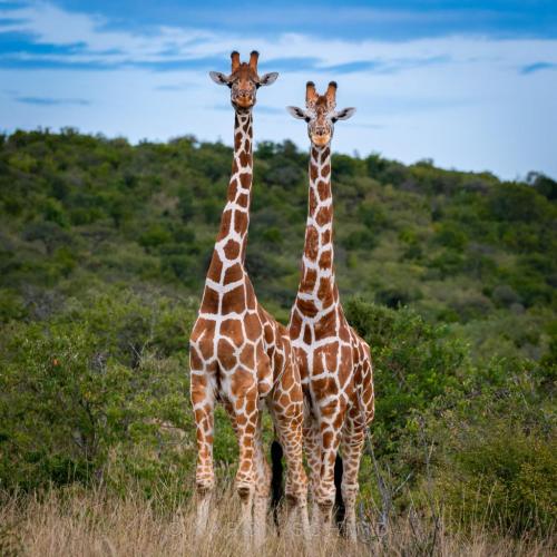 273983353_472635497644707_6207000441185691234_n