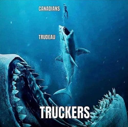 canada25