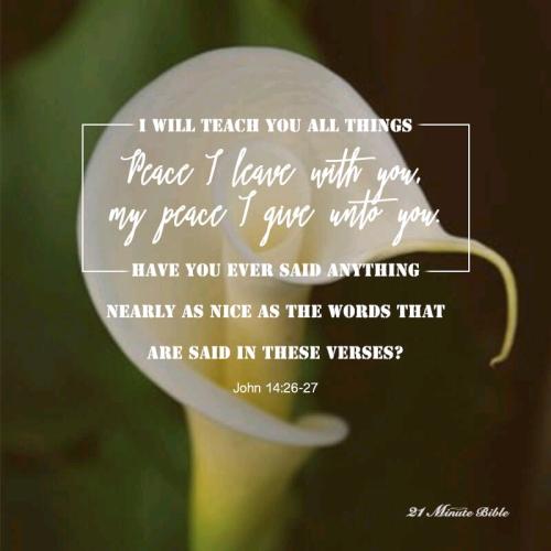 12:19:19 GMT-0500 (EST).*