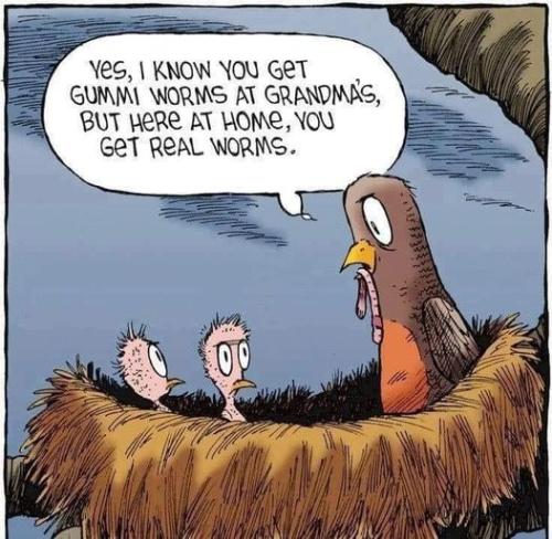 274093395_5032023443507290_4303226232242248440_n