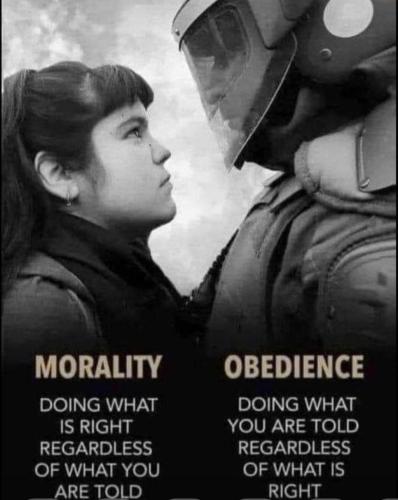 274531780_10158989438912830_7581372213334352734_n