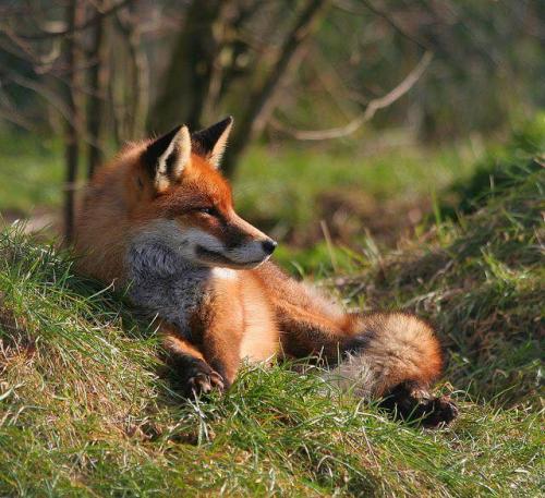 272903996_1756066607926015_8642840780989136130_n