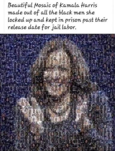 kamala harris177