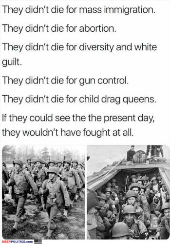 what-did-they-die-for