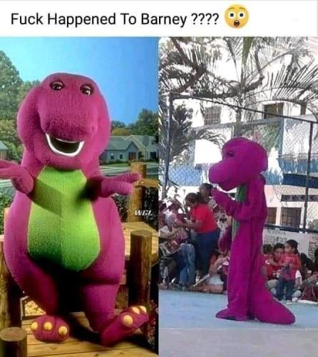 FB_IMG_1644477013247