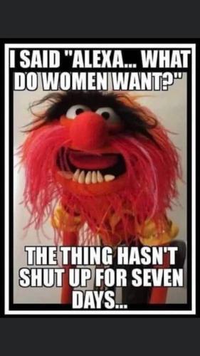 23:30:48 GMT-0500 (EST).image