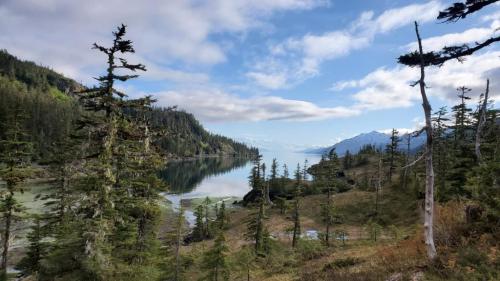 04DE1590-7C80-4BB0-9ADF-618EDC50BA16