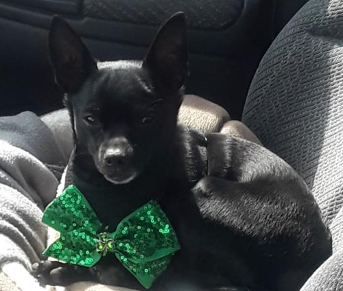 04:05:31 GMT-0500 (EST)