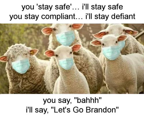lets go brandon47