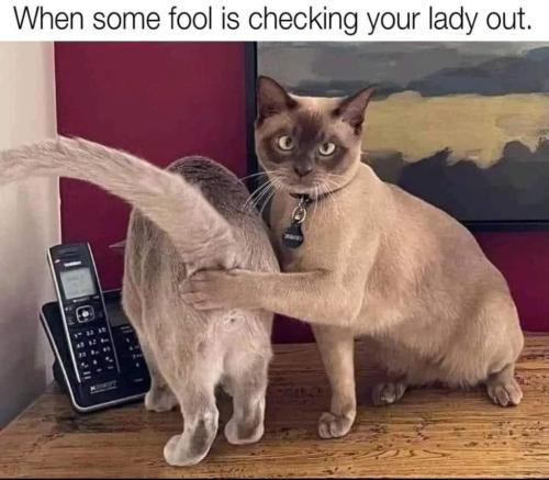 FB_IMG_1645541465547