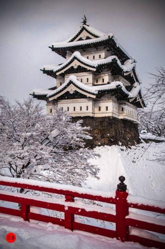 272898195_6947075098697483_6151503192027538710_n