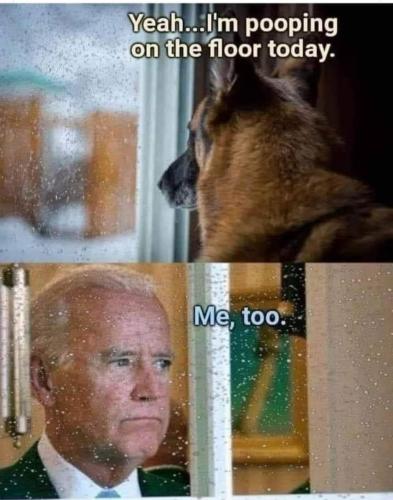 FB_IMG_1645249887874