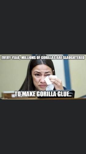 gorilla f