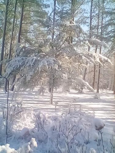 16:50:25 GMT-0500 (EST)