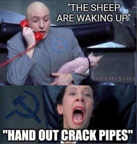 FB_IMG_1644448850879