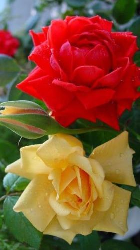 20:10:27 GMT-0600 (CST)