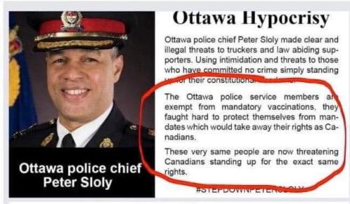 FB_IMG_1644354670879