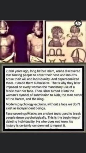 273377338_501231771358439_2725947642117957036_n