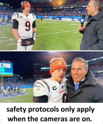 scamdemic52