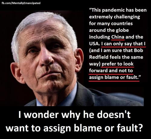 272987676_5203219466357983_2947875847704483334_n