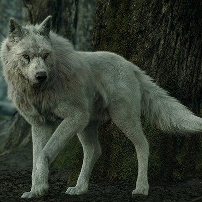 21:51:34 GMT-0600 (CST)