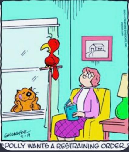 273272991_4437360236368233_5024059802307211795_n