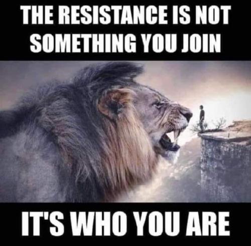 FB_IMG_1644418070860