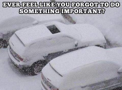 FB_IMG_1644432458780