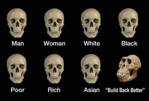 buildbackbetter45