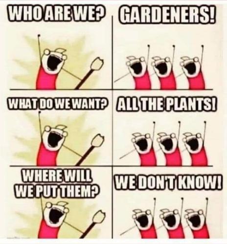 273539386_10226274852832928_8119646176502880123_n