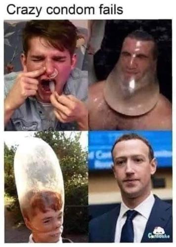 FB_IMG_1644021662665