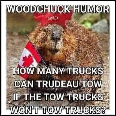 FB_IMG_1644740124066