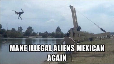 illegal immigration271