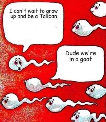 FB_IMG_1645255155538