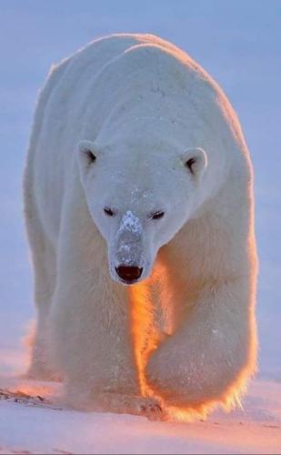 tumblr_eca4c3e374760b4b6677b12fd09659f9_b4ab13c9_640