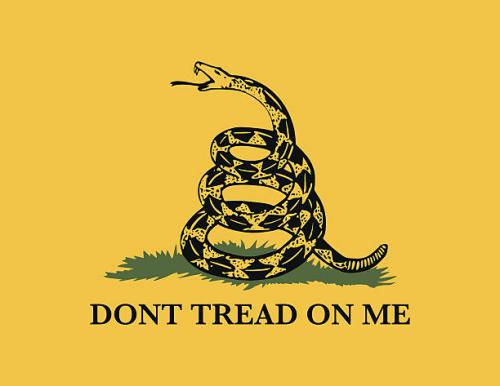 DONT TREAD ON ME IMAGE