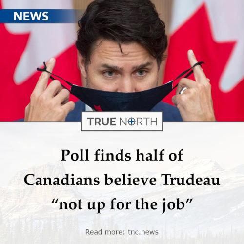 274068430_2007296599457850_2659907388098890122_n