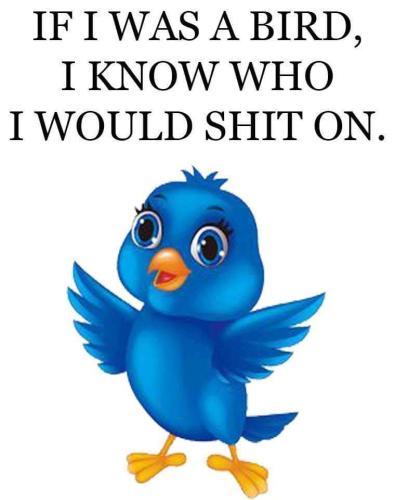 FB_IMG_1643946110327