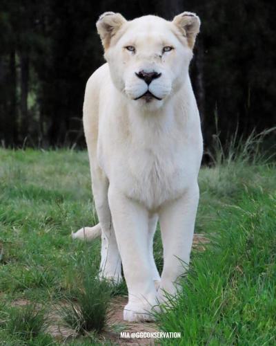 FB_IMG_1644174875966